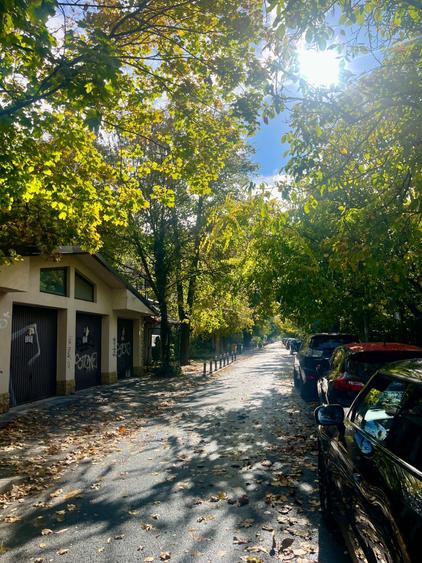 Casă cu 2 camere în Floreasca