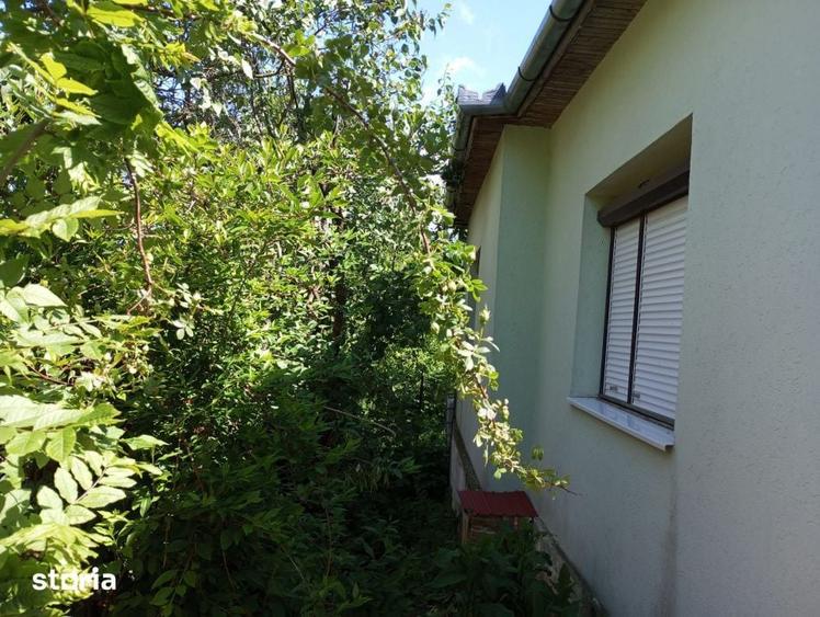 De vanzare casa cu teren 1520mp sat Dumbrava, Capusu Mare - 6