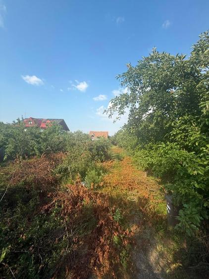 Teren Construcții intravilan de 540 mp, în Săftica