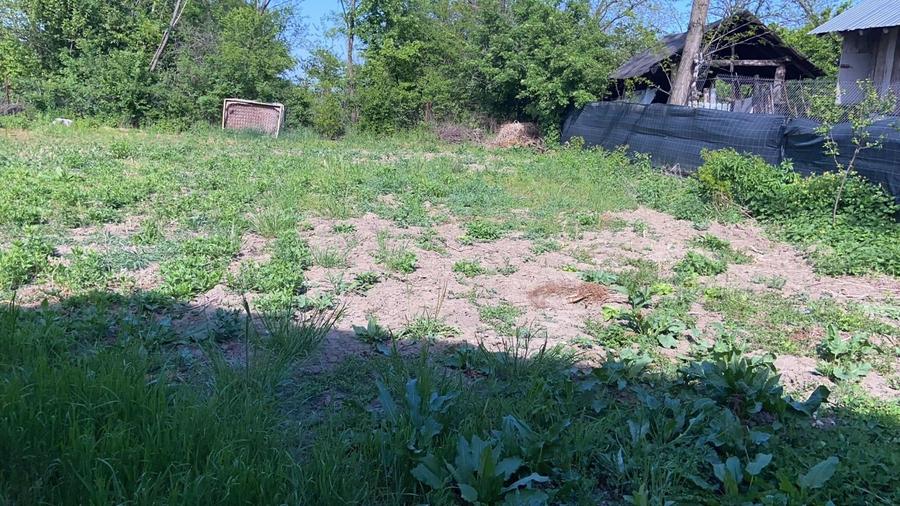 Casă individuală cu 2 camere cu Canalizare în Berceni