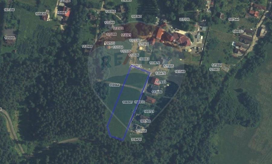 Teren Construcții intravilan de 6000 mp, în Poiana Angelescu
