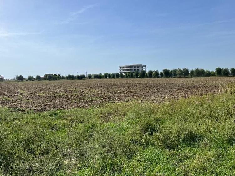 Teren Construcții intravilan de 9400 mp, în Palanca