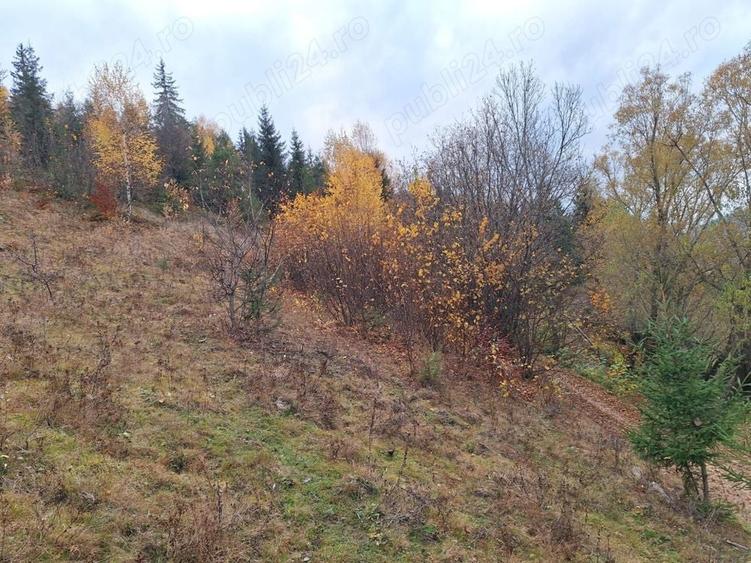 Teren de 1000 mp, în Fericet