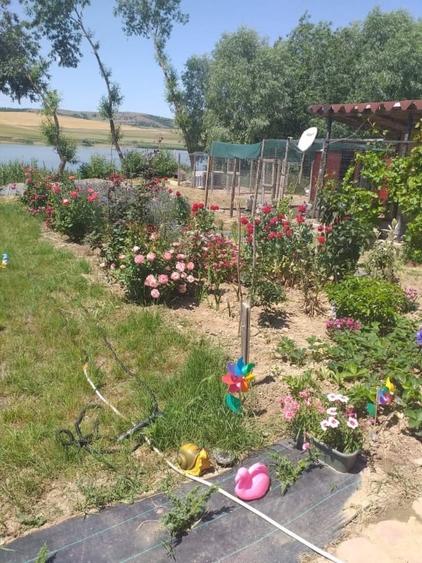 Casă individuală cu 3 camere cu Garaj în Horia