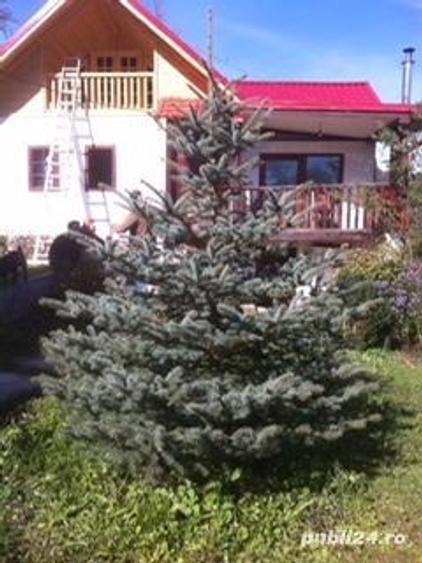 Casă cu 6 camere cu Teren 16000 Mp în Câmpeni
