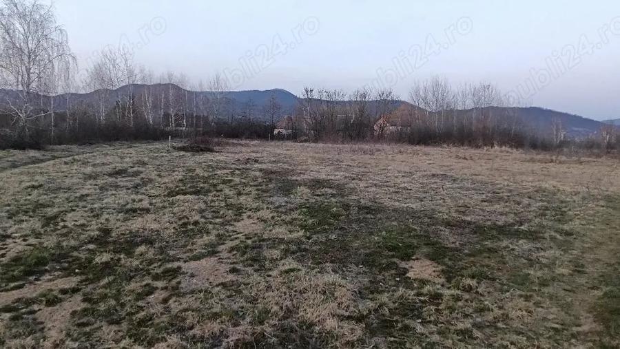 Teren de 10000 mp, în Merișor