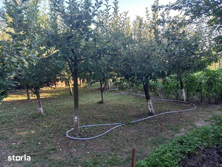 Casă cu 4 camere cu Teren 3590 Mp în Colceag