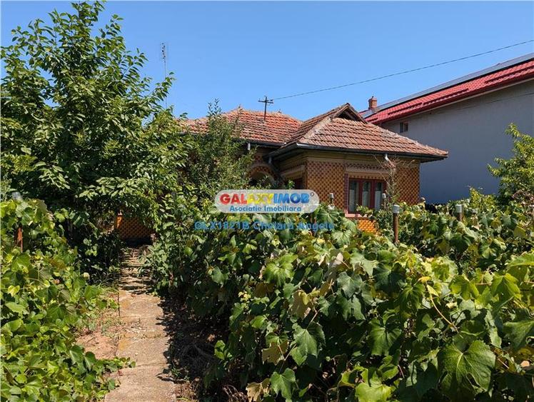 Casă cu 3 camere cu Teren 3000 Mp în Lipia
