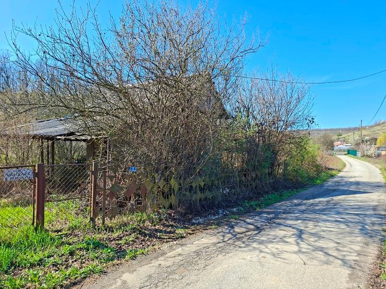 Teren Construcții extravilan de 2600 mp, în Ștefănești