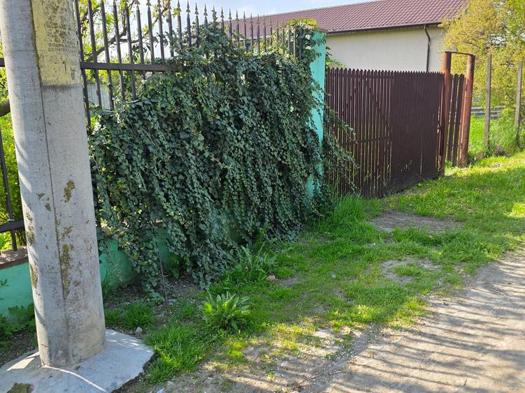Teren Construcții intravilan de 188 mp, în Est