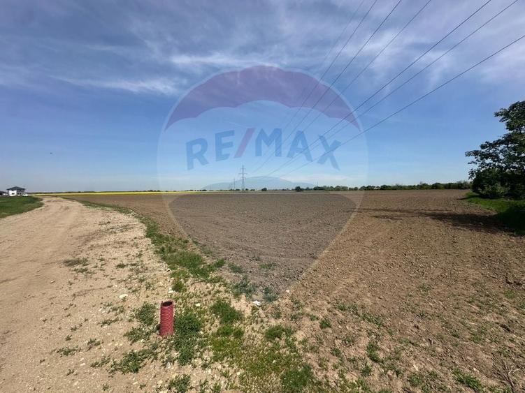 Teren Construcții intravilan de 545000 mp, în Dragomirești-Vale