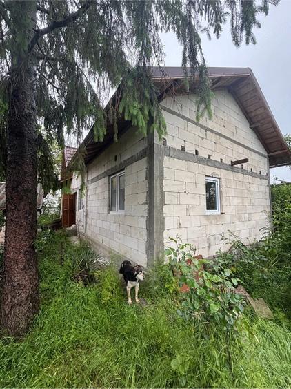 Casă cu 3 camere cu Teren 2000 Mp în Produlești
