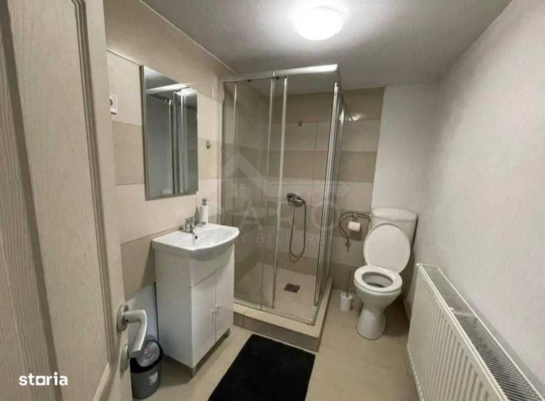 Vand sau schimb casa Campu Cetatii din caramida si lemn - 8