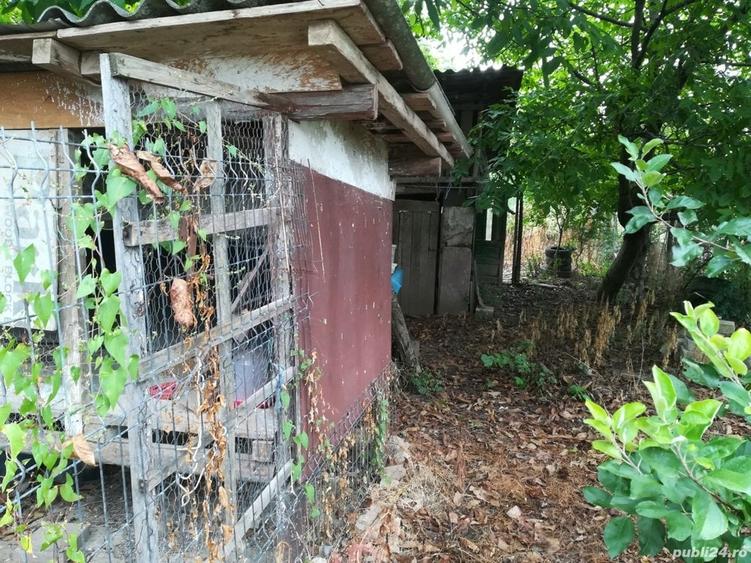 Casă cu 2 camere cu Teren 1000 Mp în Poienarii Burchii