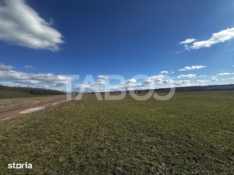 Teren de 2200 mp, în Turnișor
