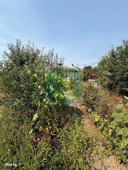 Casă cu 3 camere cu Teren 800 Mp în Cordun