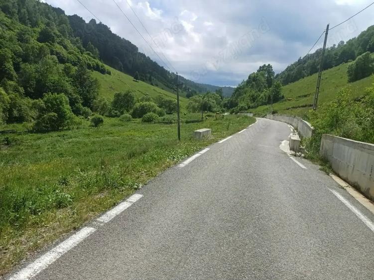 Teren de 3500 mp, în Muntele Băișorii