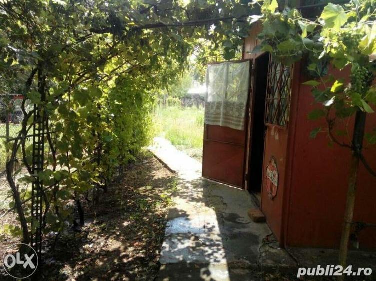 Teren de 4000 mp, în Livedea