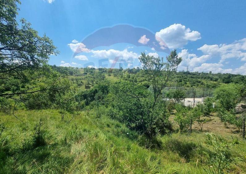 Teren de 11622 mp, în Vălenii de Munte