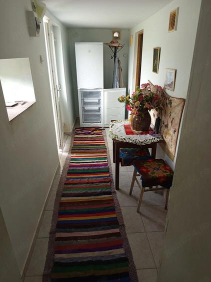 Casă cu 3 camere cu Teren 3000 Mp în Vale
