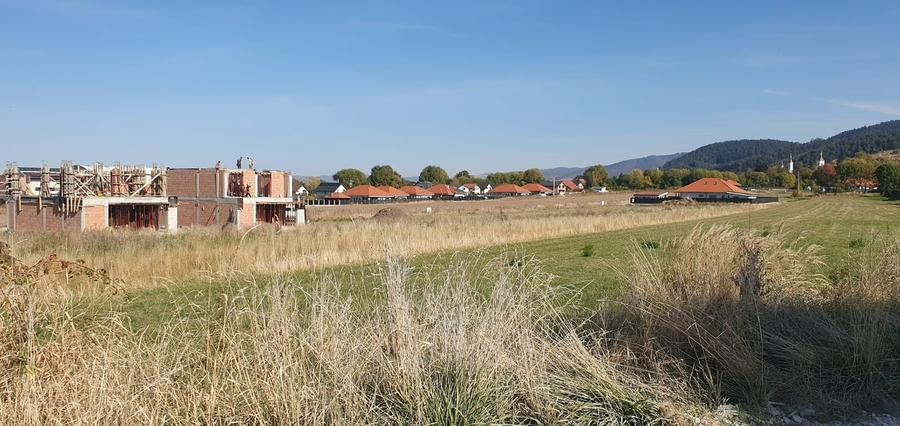 Teren Construcții intravilan de 2600 mp, în Baciu