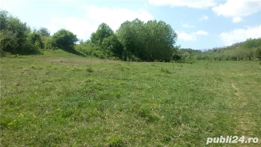 Teren de 950 mp, în Dealul Malului