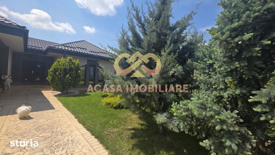 Casă cu 5 camere cu Teren 1700 Mp în Bucium