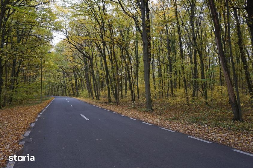 Teren de 2800 mp, în Ciolpani