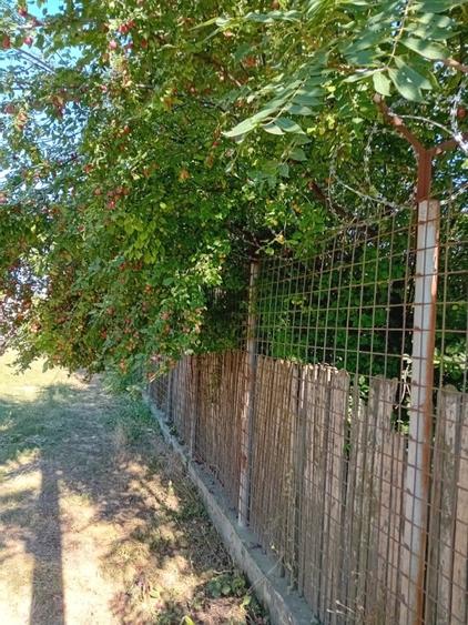 Teren Construcții intravilan de 4000 mp, în Bujoru