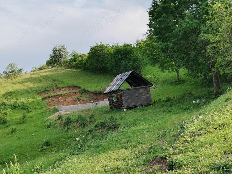 Teren în Pietroasa