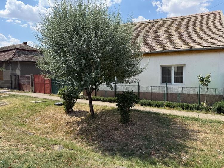 Casă individuală cu 3 camere cu Canalizare în Jebel