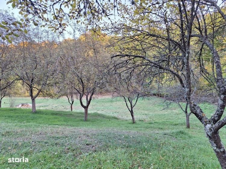 Teren intravilan 600 mp, liziera padurii, Balotesti, Posibilitate casa - 2
