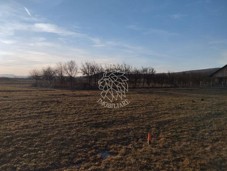 Teren agricol extravilan de 3500 mp, în Rusu Bârgăului