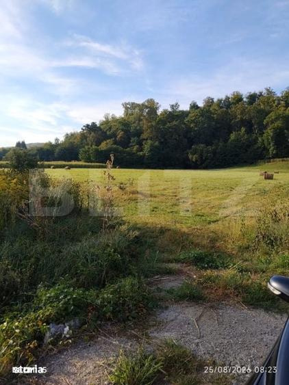 Teren intravilan de vanzare, 2.844 mp, zona Arcalia - 1