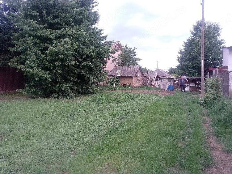 Teren de 500 mp, în Șerbănești