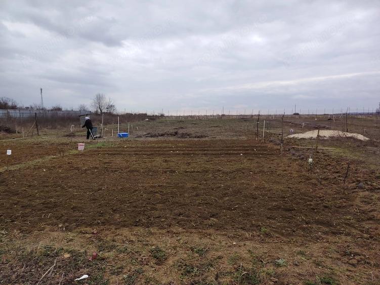 Teren de 5000 mp, în Corbii Mari