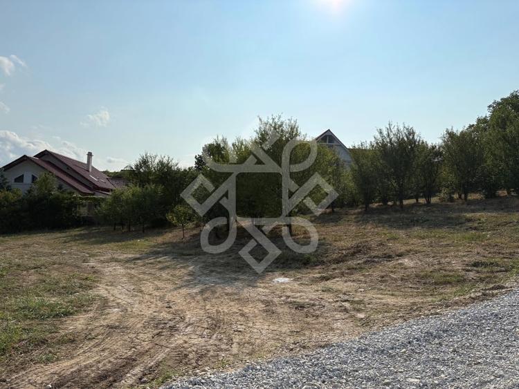 Teren Construcții intravilan de 766 mp, în Dealuri Oradea