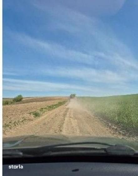Teren de 15900 mp, în Probota