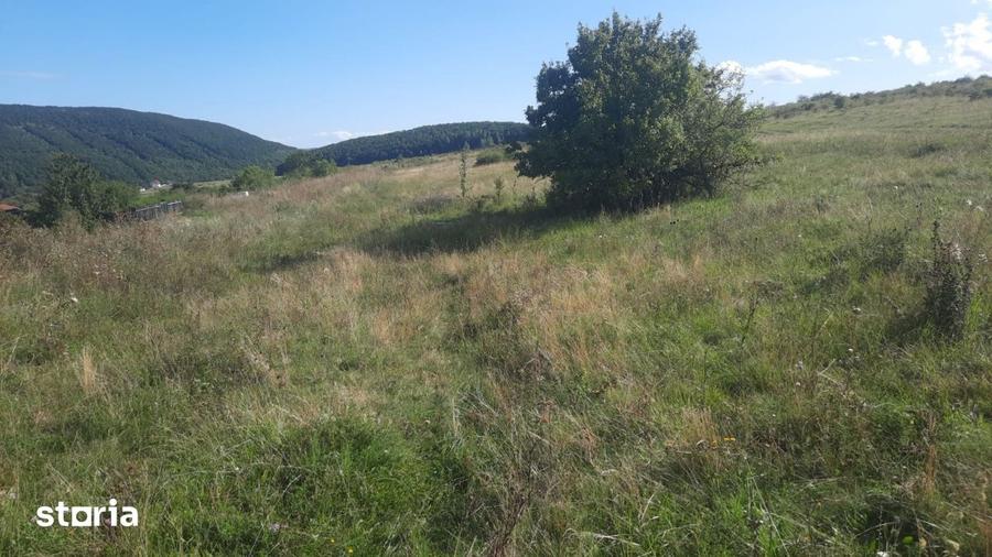 Teren de 908 mp, în Ciurila