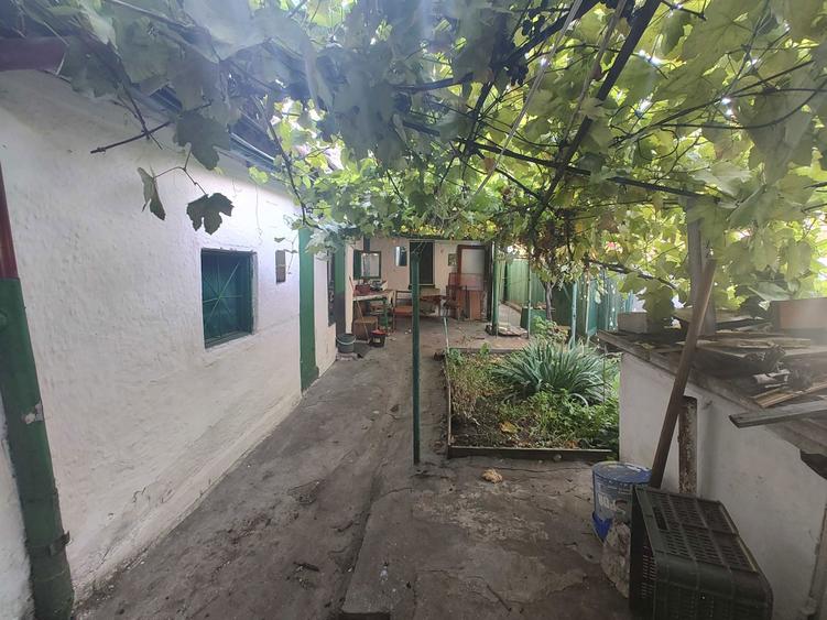 Casa de vanzare - Coiciu - 6