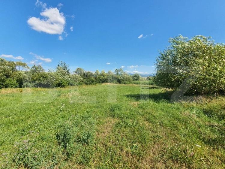 Teren Construcții intravilan de 3100 mp, în Sud
