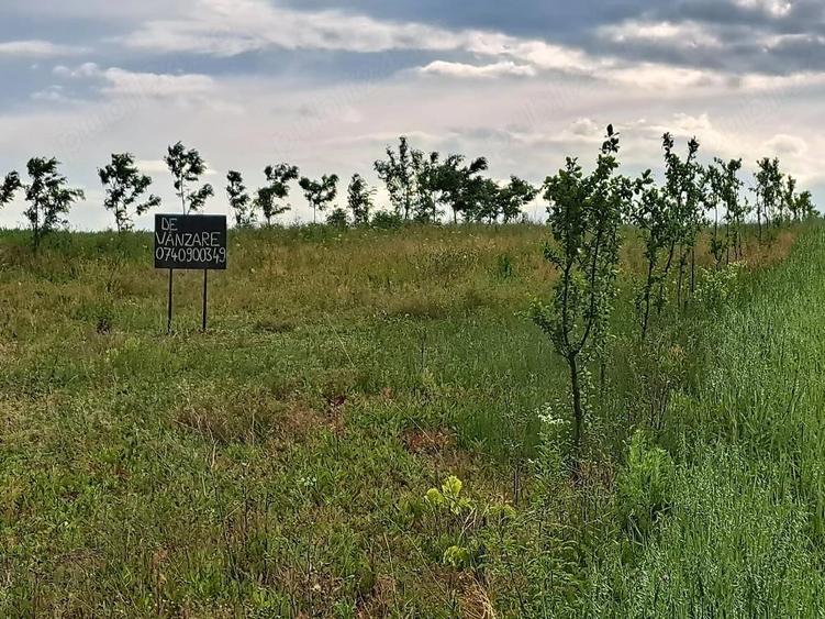 2900m2 teren intravilan in comuna Ion Creanga jud Neamt - 4