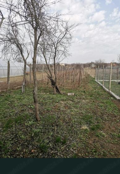 Casă cu 4 camere cu Teren 1400 Mp în Central