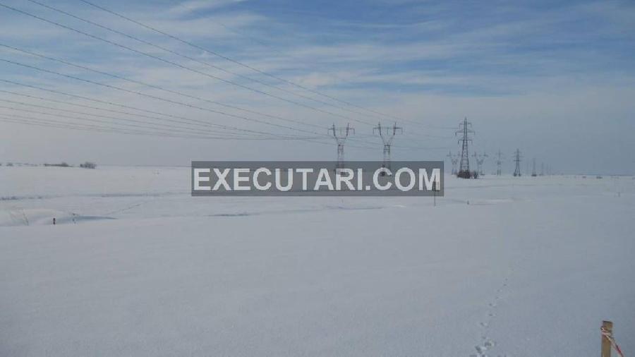 DASCALU VARASTI ILFOV Teren extravilan,arabil - 12,500 m² - 4