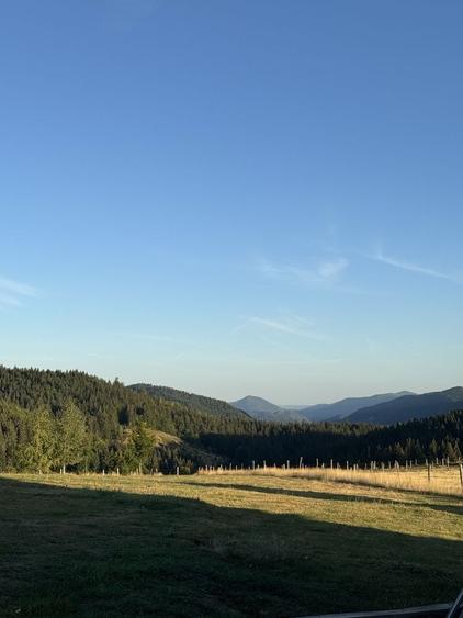 Teren de 15000 mp, în Poienița