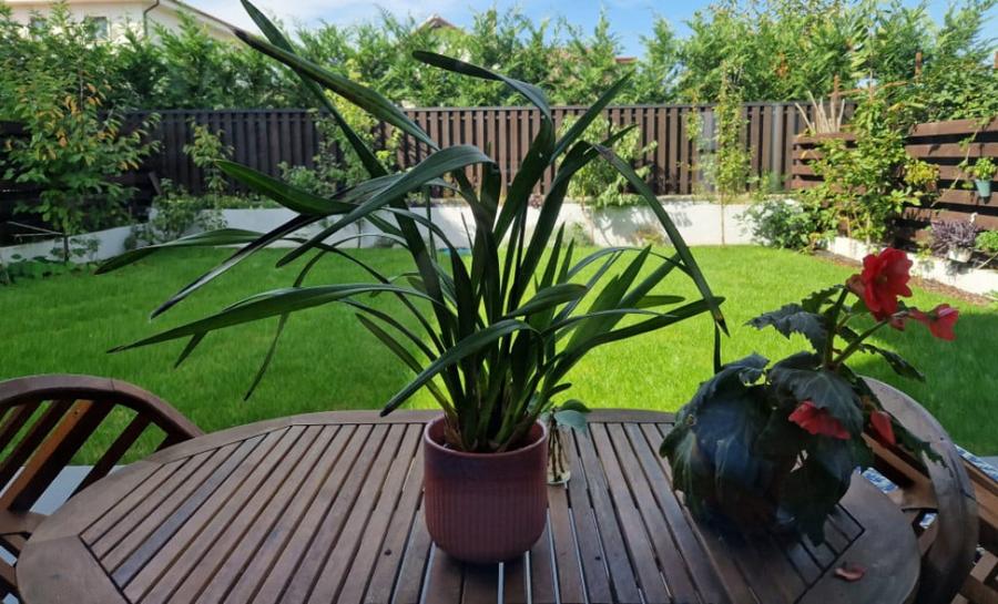 Casă cu 4 camere cu Teren 300 Mp în Borhanci