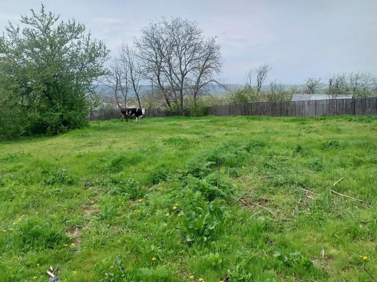 Casă cu 3 camere în Boghești