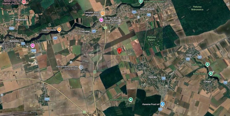 Teren agricol extravilan de 5500 mp, în Moara Vlăsiei