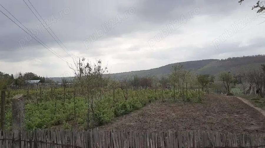 Teren de 1000 mp, în Ijdileni