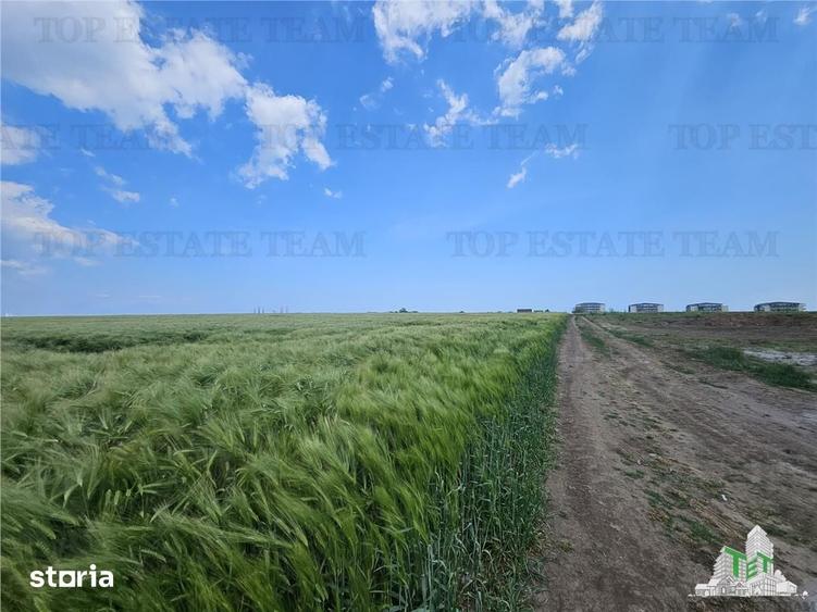 Teren de 50000 mp, în Agigea